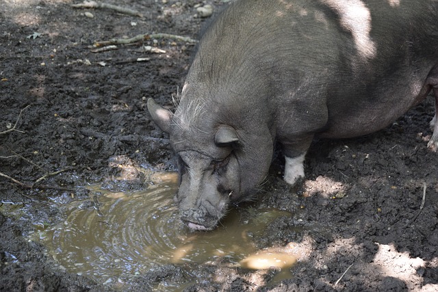 苏媒：苏州相城多景区面向泰州游客免票，自驾两小时即可抵达